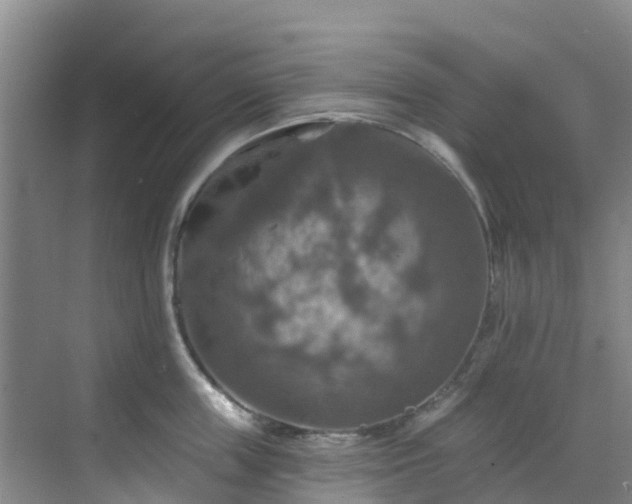 X0000068840859200605081237