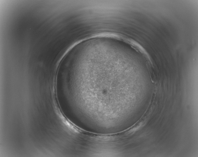 X0000068840860200605081237