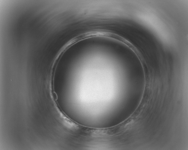 X0000068840861200605081237