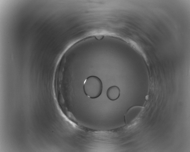 X0000068840863200605081237