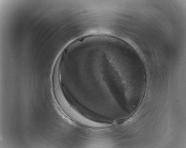 X0000068840864200605081237