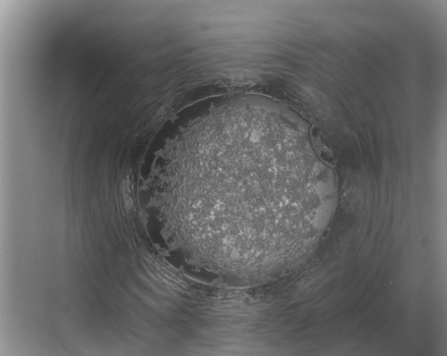 X0000068840866200605081237