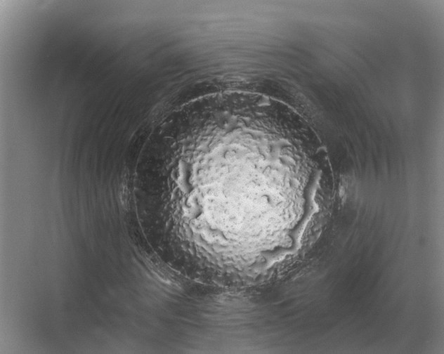 X0000068840867200605081237