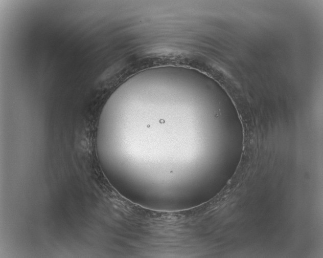 X0000068840869200605081237