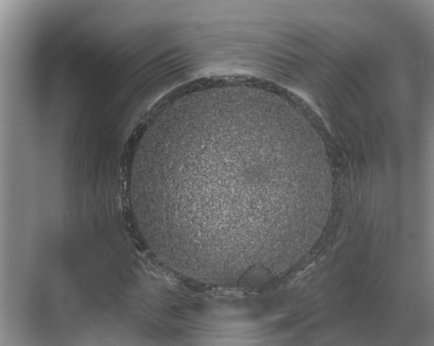 X0000068840871200605081237