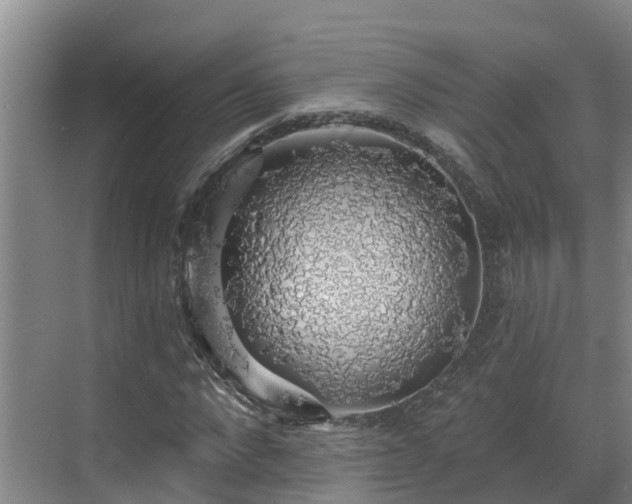 X0000068840872200605081237