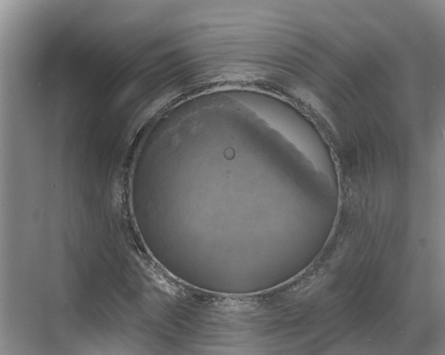 X0000068840874200605081236