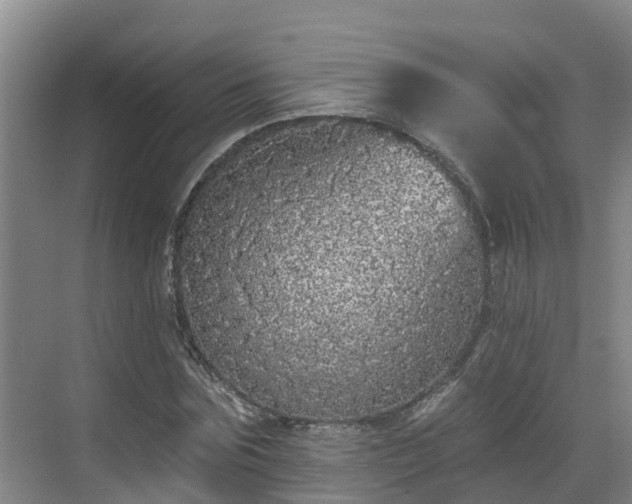 X0000068840875200605081236