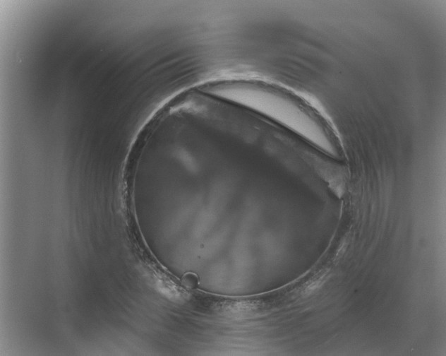 X0000068840879200605081236