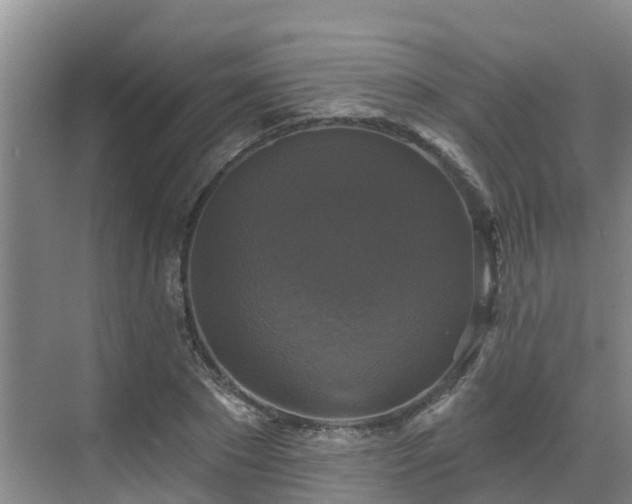 X0000068840881200605081236