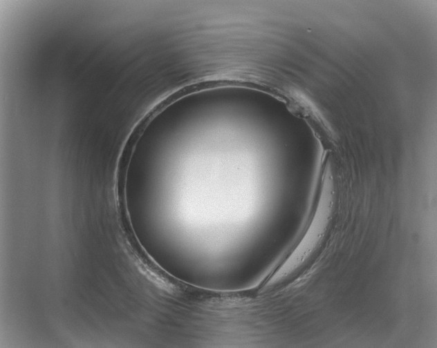 X0000068840884200605081236