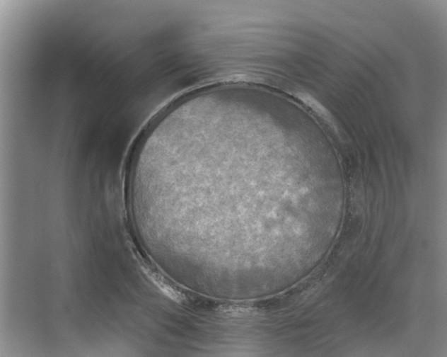 X0000068840886200605081236