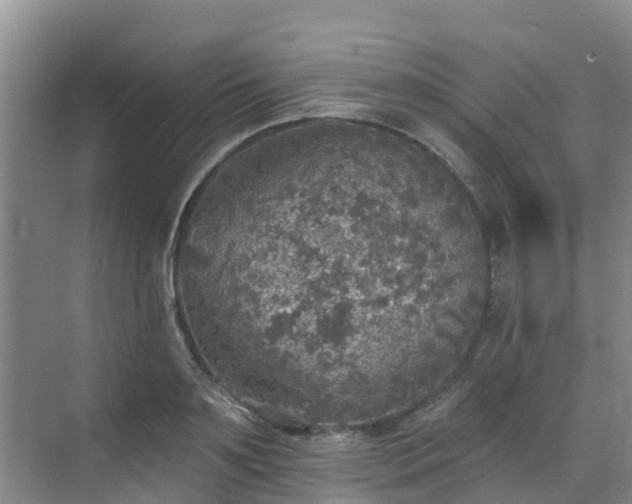 X0000068840891200605081236