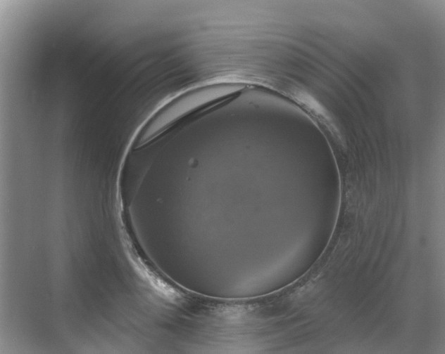 X0000068840892200605081236