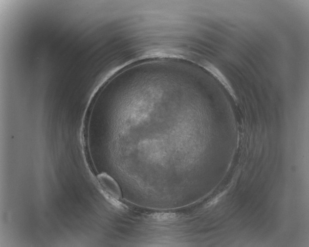 X0000068840893200605081236