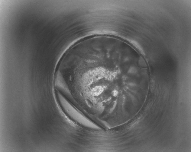 X0000068840895200605081236