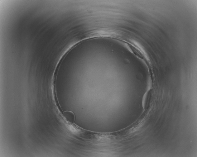 X0000068840899200605081236