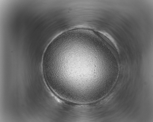 X0000068840902200605081236