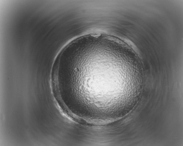 X0000068840904200605081236