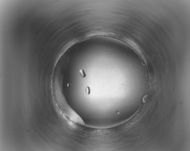 X0000068840906200605081236