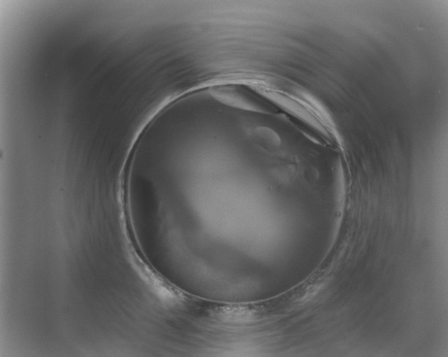 X0000068840907200605081236