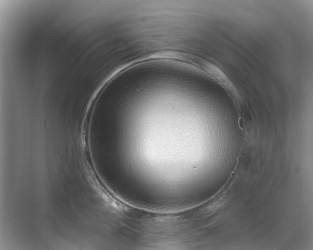 X0000068840908200605081236