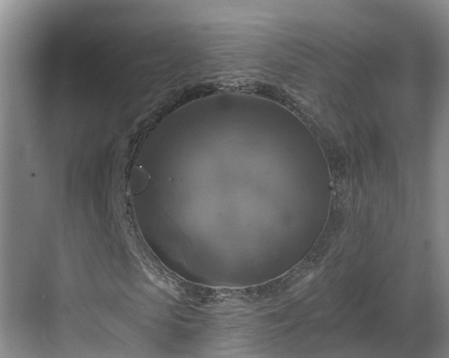 X0000068840913200605081235