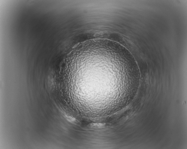 X0000068840914200605081235