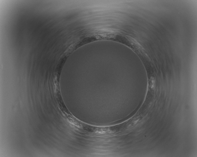 X0000068840915200605081235