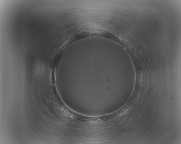 X0000068840916200605081235