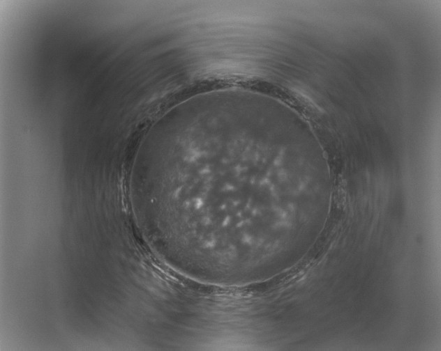 X0000068840917200605081235