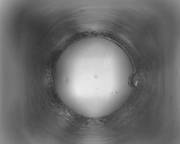 X0000068840918200605081235