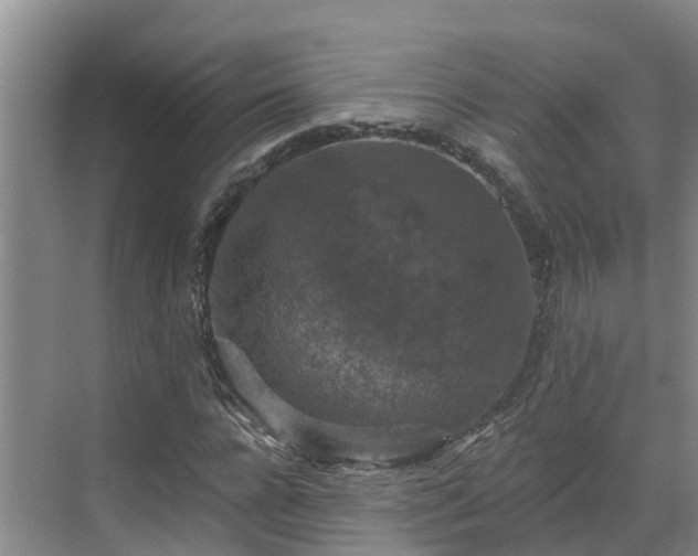 X0000068840920200605081235