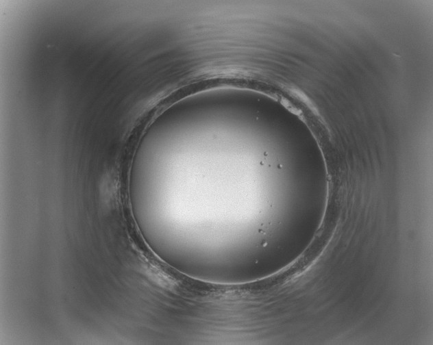 X0000068840922200605081235