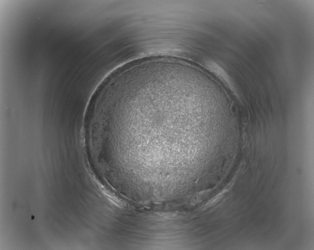 X0000068840924200605081235