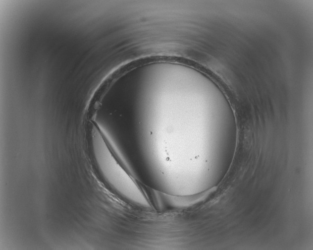 X0000068840926200605081235