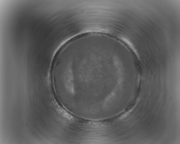 X0000068840928200605081235