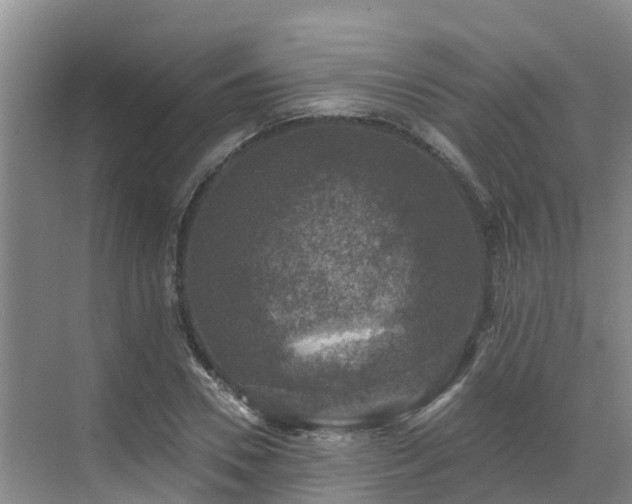 X0000068840930200605081235