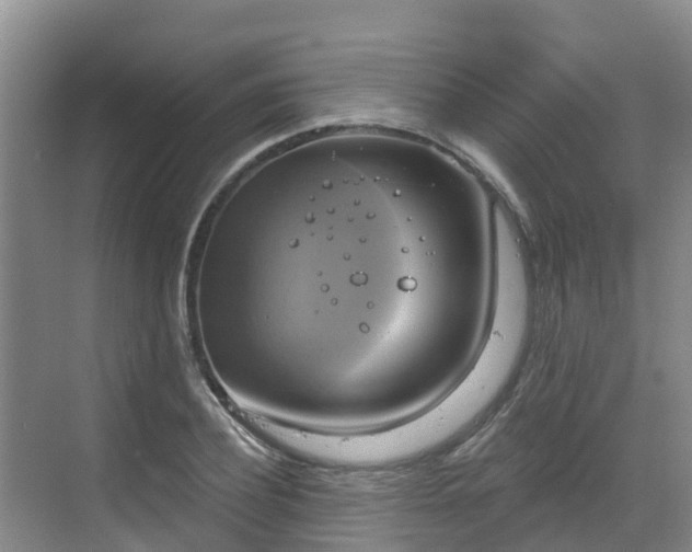 X0000068840932200605081235