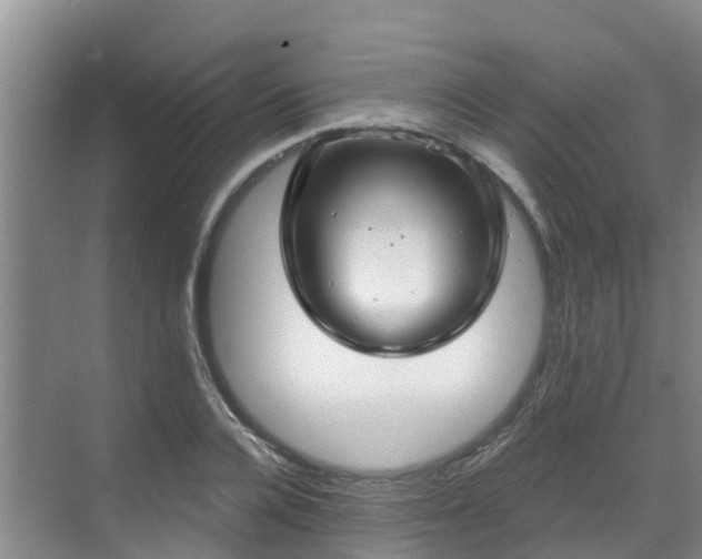 X0000068840936200605081235