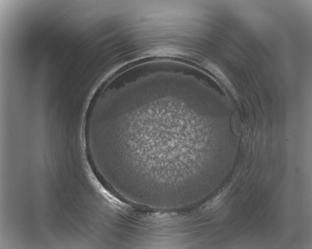 X0000068840939200605081235