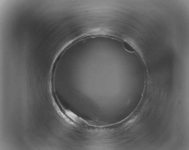 X0000068840941200605081236