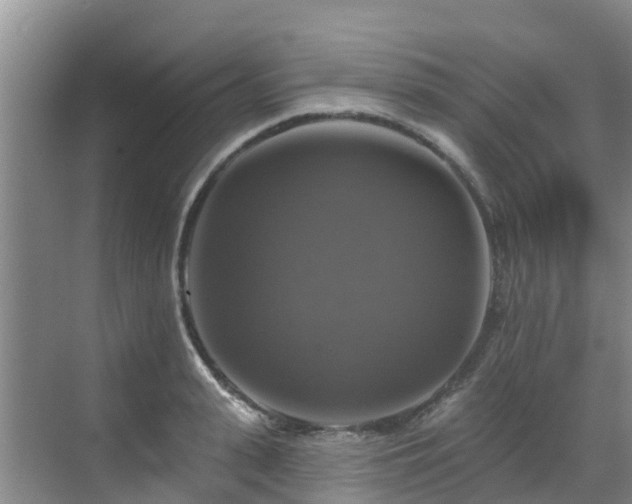 X0000068840943200605081236