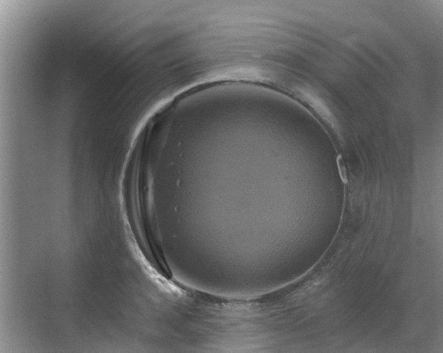 X0000068840944200605081236