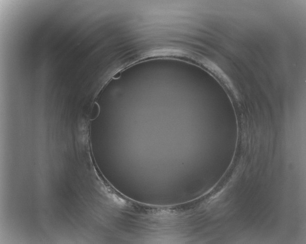 X0000068840945200605081236