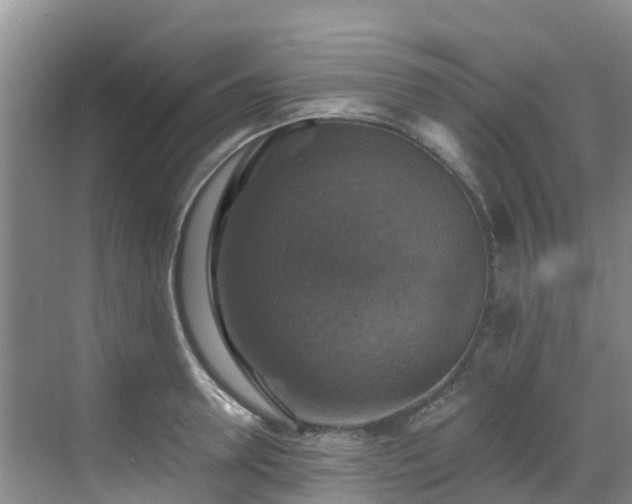 X0000068840946200605081236