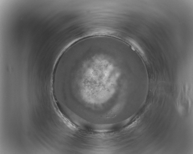 X0000068840948200605081236