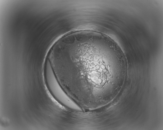 X0000068840949200605081236