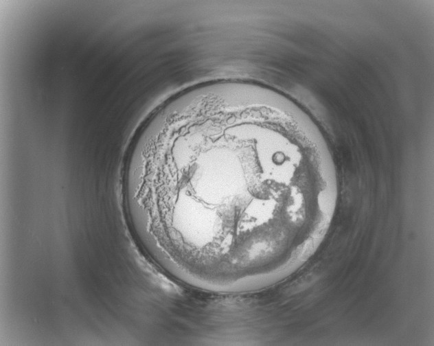 X0000068840950200605081236