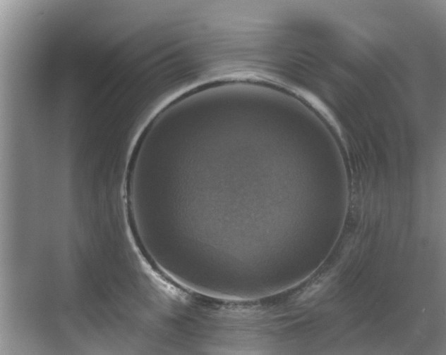 X0000068840951200605081236